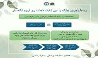 وسط بحران جنگ با این نکات ذهنت رو آروم نگه دار